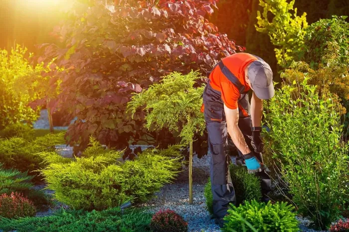 Landscaping Company in Joliet, IL
