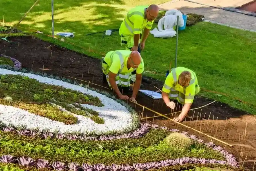 Experienced Landscape Construction Joliet, IL