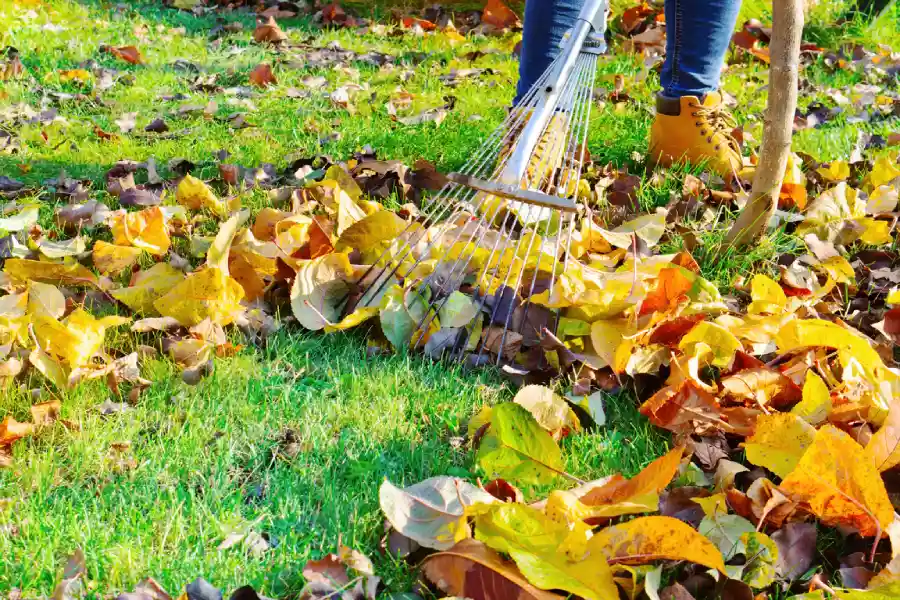 How To Keep Your Yard Looking Great All Year Long Joliet, IL